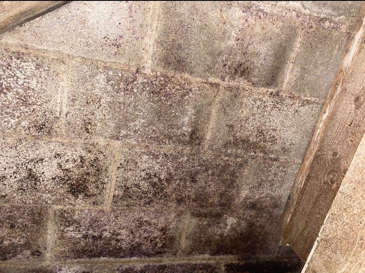 Traitement humidité en cuvelage à villedieu les poêles